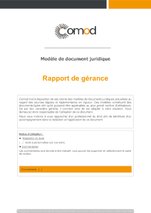 Modèle Rapport de gestion